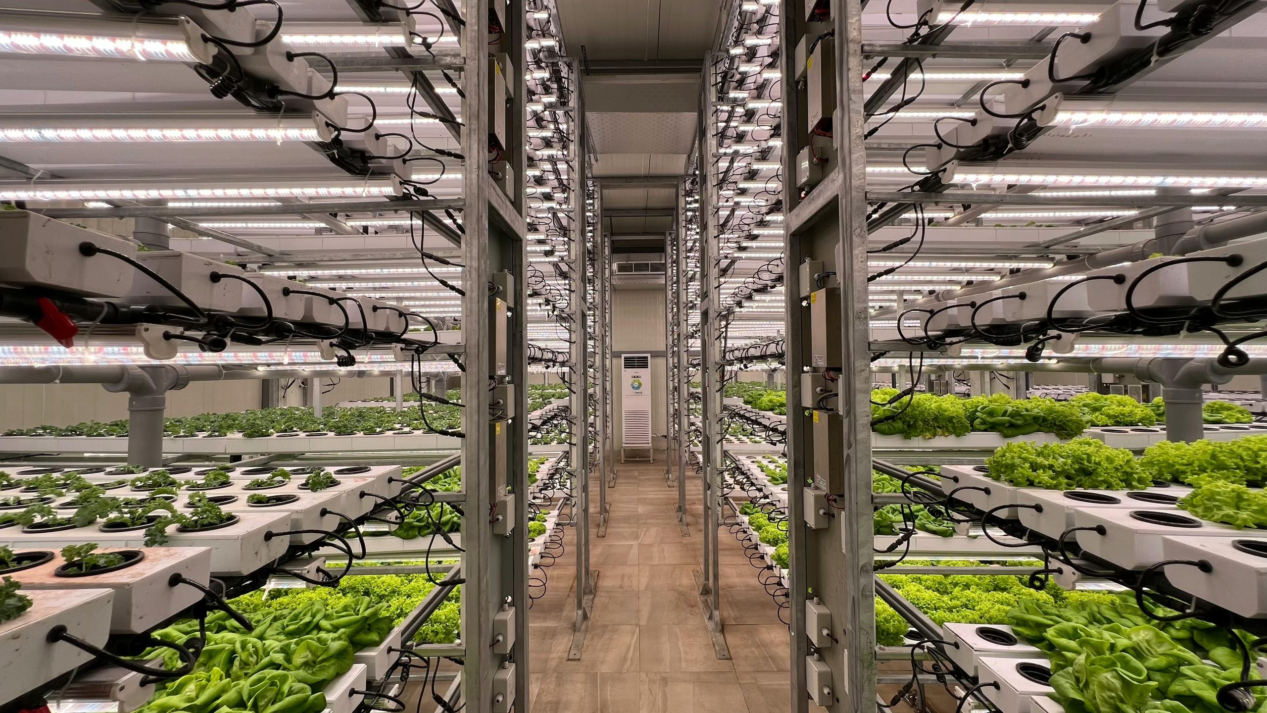 Indoor Cultivation — Hort Americas Canada