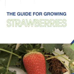 Free Download: The Guide for Growing Strawberries