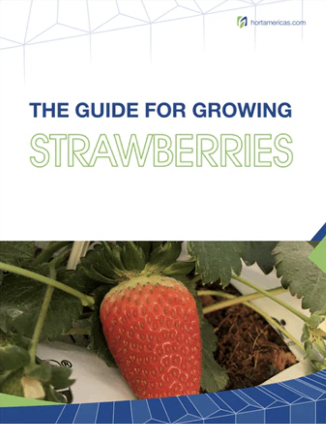 Free Download: The Guide for Growing Strawberries