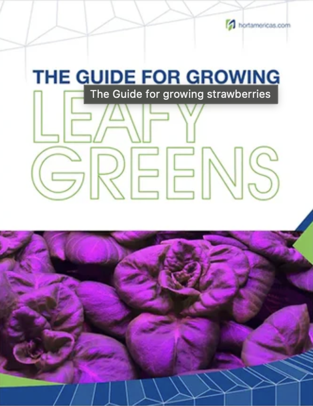 The Guide for Growing Leafy Greens