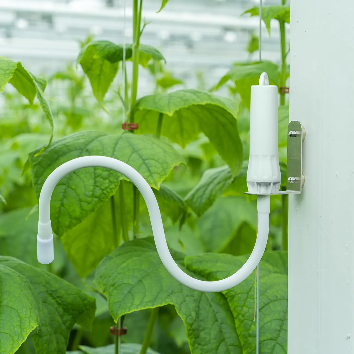 Aranet IR plant temperature sensor – Image 2