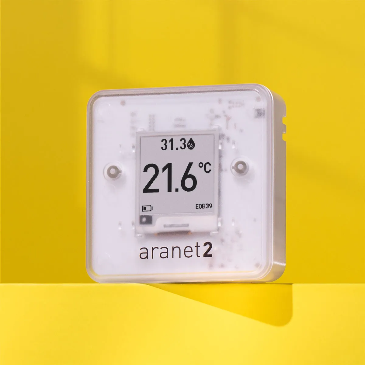 Aranet2 HOME (T/RH datalogger with display) (minimum order quantity are 10 units)