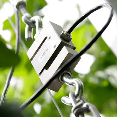 Aranet weight sensor 50 kg - Image 3